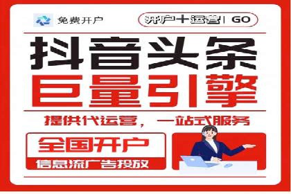 解析某某SEM服务公司的广告投放策略与效果评估